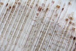 Official Medicines Control Laboratory Division - OMCL